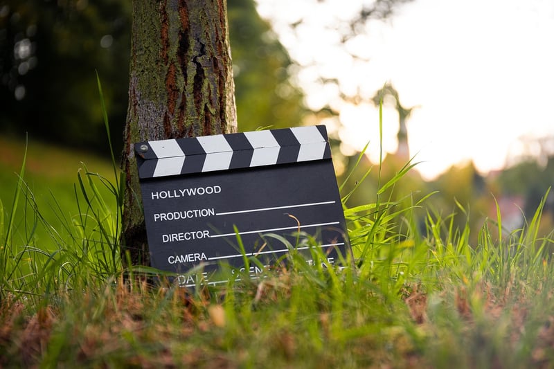 Outdoor Movies